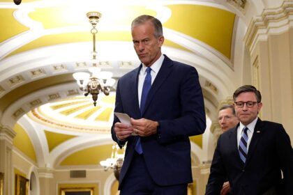 Thune torches Senate Dems for allowing ‘far-left’ lawmakers to hijack party after blocking crucial bill