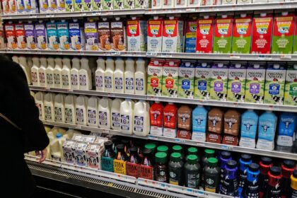 Boston eyes city-run groceries to fight food insecurity, but skeptics remain doubtful