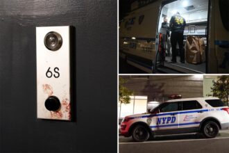 NYC girl allegedly attacked by deranged stepdad had a tool driven up her nose: police