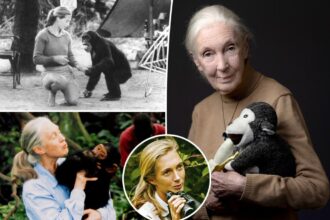 Jane Goodall, renowned anthropologist and conservationist, dead at 91