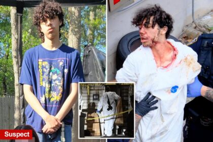Troubled Staten Island teen accused of decapitating mom’s beau shares gory confession details: sources