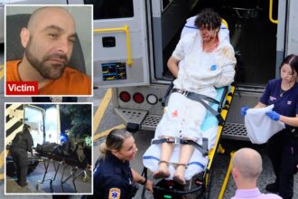 Staten Island teen who allegedly decapitated mom’s boyfriend is hospitalized — delaying first court appearance
