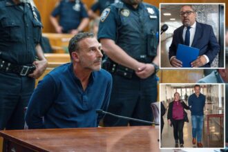 Gun-wielding NYPD surgeon, Touro professor forced himself on younger woman asking for job advice: prosecutors