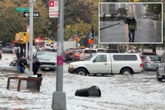NYC floods kill owner trying to save dogs, man fixing boiler as Big Apple rocked by ferocious rainstorm
