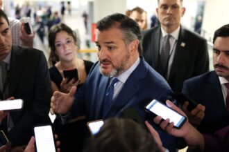 Cruz ‘cannot support’ Trump’s Kuwait ambassador pick over Muslim Brotherhood remarks