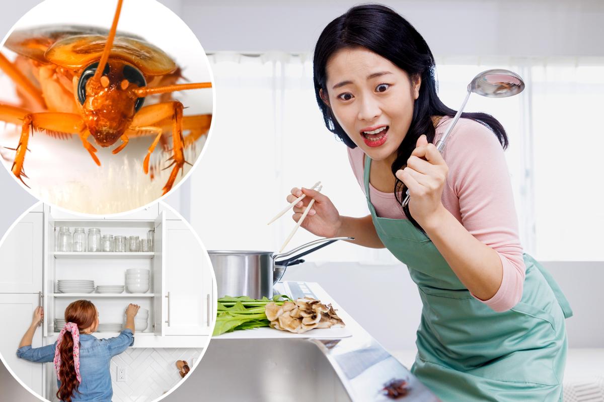 Lazy landlord did the unthinkable when new tenant found roaches in apartment: ‘My worst nightmare’ Lazy landlord did the unthinkable when new tenant found roaches in apartment: ‘My worst nightmare’
