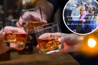 Florida bar livestreams its customer activity so those at home can hilariously watch: ‘Top tier entertainment’