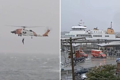 Coast Guard rescues man stranded off Cape Cod after ferry passengers spot him floundering in water during nor’easter
