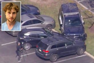 Entitled brat mows down cops with his Mercedes G-Wagen: police