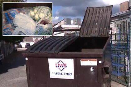 Defunct Long Island supermarket cited after allegedly leaving rotting food in dumpster for over week