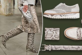 Florida solves invasive python problem by transforming apex predators into A-list leather goods