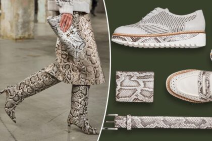 Florida solves invasive python problem by transforming apex predators into A-list leather goods