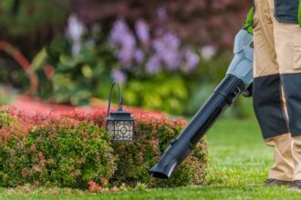 Best Leaf Blowers for 2025