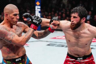 UFC 320: Ankalaev vs. Pereira 2, Everything to Know to Watch via Livestream