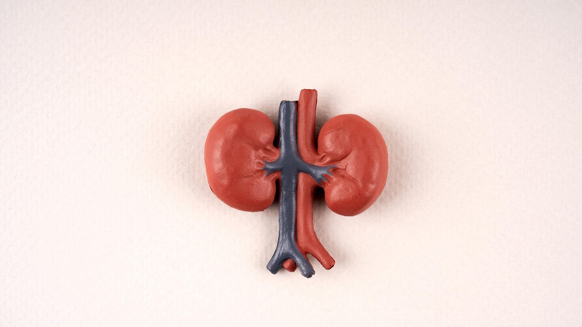 13 Superfoods That Could Boost Kidney Function