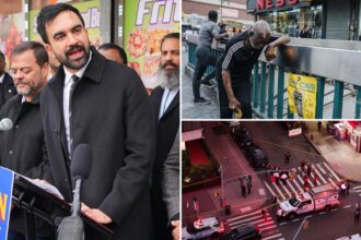‘Chaos’ and ‘disaster’: Nearly half of New Yorkers fear spike in crime under Mamdani