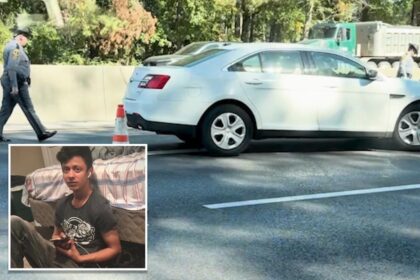 24-year-old fleeing ICE agents is fatally struck by vehicle on Virginia highway