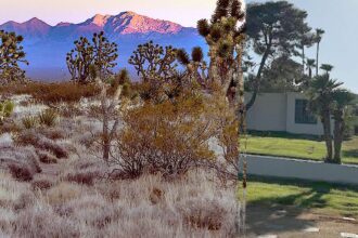 Investigation continues after hundreds of cremated human remains discovered, recovered from Nevada desert