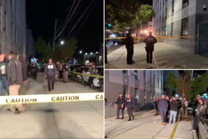 NYPD cop shot in the head in the Bronx, suspect in custody: sources