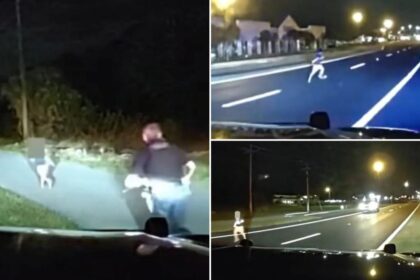 Tense video shows small child run down highway, almost get hit by car before being saved by cop
