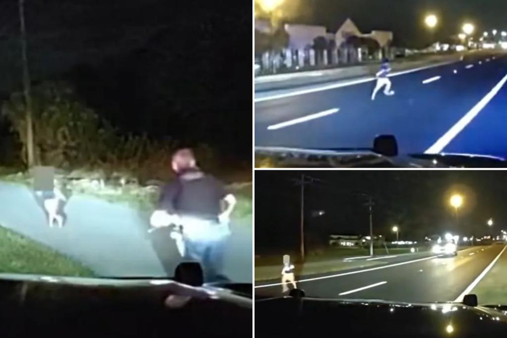 Tense video shows small child run down highway, almost get hit by car before being saved by cop
