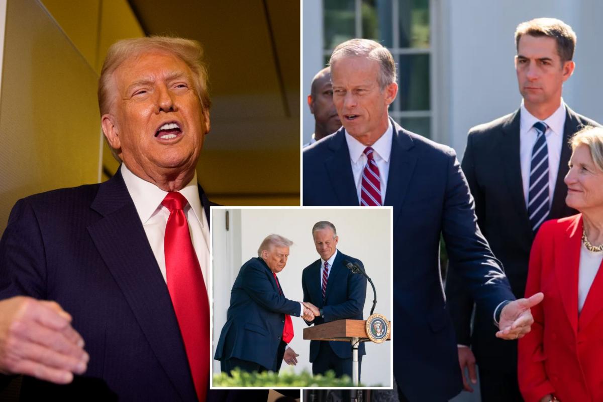 Trump demands Senate Republicans invoke ‘nuclear option’ to end ‘country destroying’ government shutdown  Trump demands Senate Republicans invoke ‘nuclear option’ to end ‘country destroying’ government shutdown