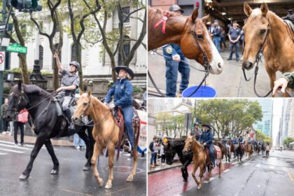 Veterans trek through Manhattan on horseback to promote suicide awareness for 8th annual Trail to Zero ride