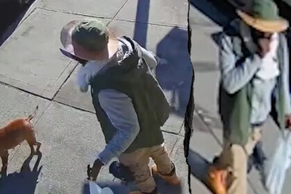 Machete-wielding offender with 20 arrests charged in blue city hit-and-run that killed cancer survivor