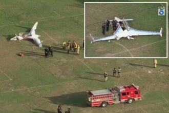 Woman struck by small plane that crashed into busy California park