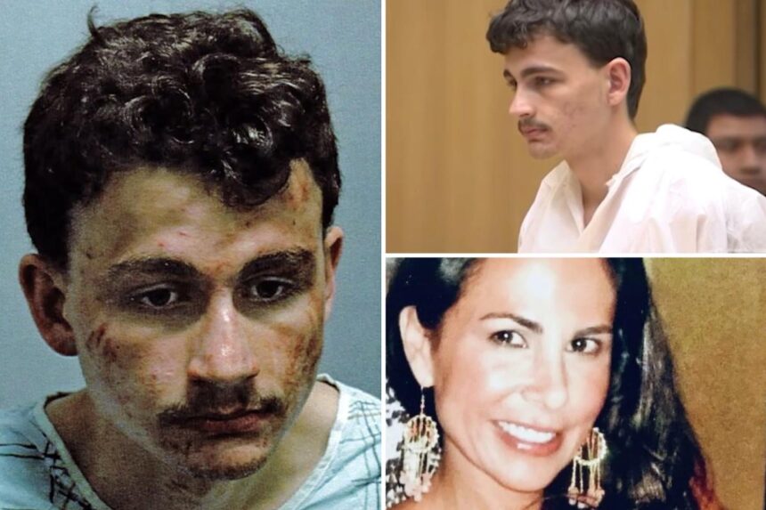 Connecticut son beats mother to death with hammer, then runs off into woods screaming for ‘Mama’