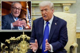 Trump rips Chuck Schumer, says Democrats ‘have no leader’ in shutdown: ‘They remind me of Somalia’