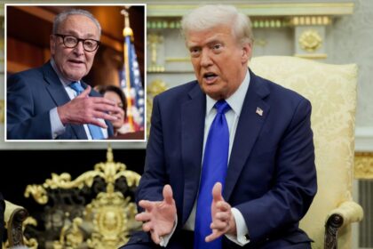 Trump rips Chuck Schumer, says Democrats ‘have no leader’ in shutdown: ‘They remind me of Somalia’