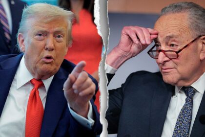 Trump slams Democrats for ‘shutting down’ government, demands it reopen ‘tonight’