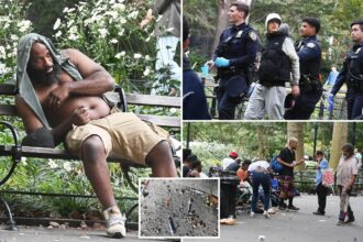 Feds crack down on Washington Square Park’s brazen drug market with 19 arrests