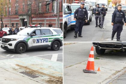 Boy, 16, shot at Bronx public housing complex: cops