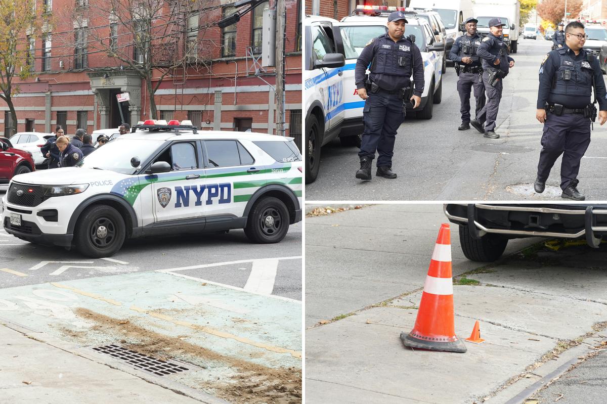 Boy, 16, shot at Bronx public housing complex: cops