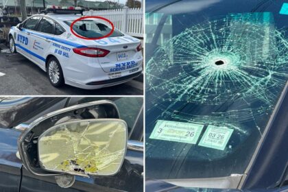 Long Island man who allegedly vandalized 11 NYPD vehicles busted, promptly cut loose in court