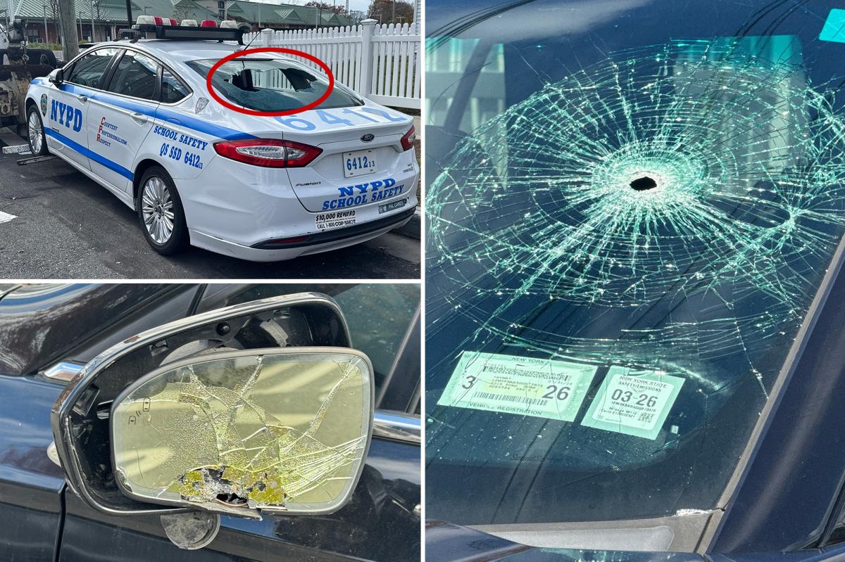 Long Island man who allegedly vandalized 11 NYPD vehicles busted, promptly cut loose in court