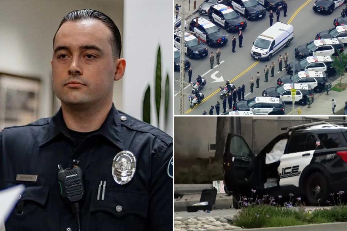 California officer, 28, killed in violent crash during pursuit: ‘Dedicated public servant’