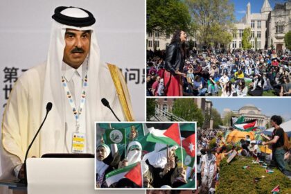 Qatar pumping tens of billions into universities to help Muslim Brotherhood weaken US, ‘destroy democracy’