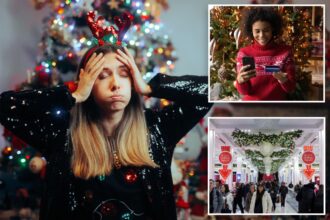 Exclusive | Grinch economy: Americans feeling stingy this holiday season as personal debt, economic uncertainty looms