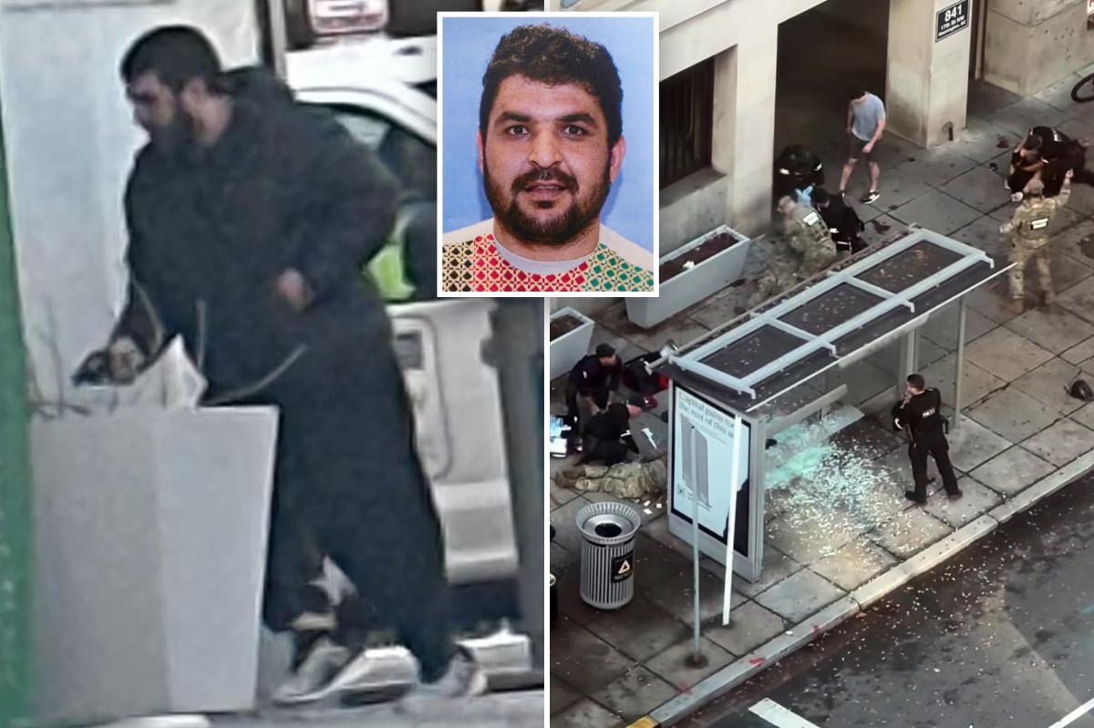 PTSD probed as possible factor in deadly DC shooting of National Guards members: sources