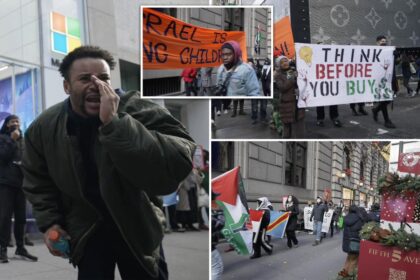 4 arrested as rowdy anti-Israel protesters disrupt Black Friday shoppers on NYC’s ritzy Fifth Avenue