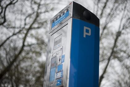 German municipal worker arrested for stealing €1m from parking meters