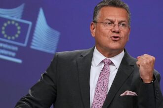 Exclusive: “Everything can be weaponised,” says EU trade chief