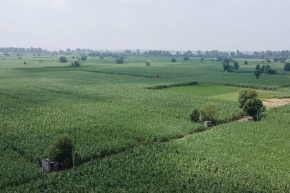 EU bets on nature-based products to increase domestic competitiveness