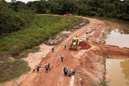 Fact check: Did Brazil chop down 100,000 trees for COP30?