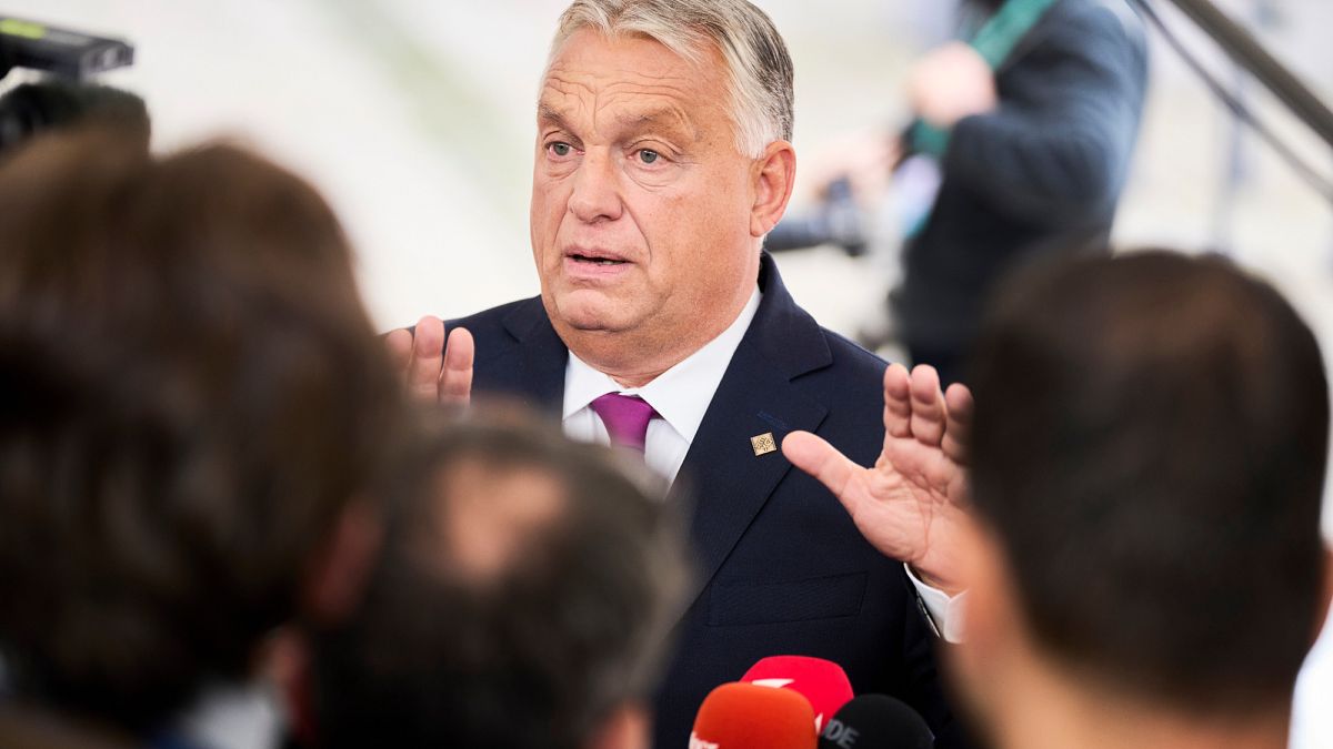 ‘Ukraine does not defend Hungary’, Orban  says in Zelenskyy rebuff