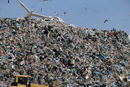 EU countries falling behind on municipal waste recycling, auditors say