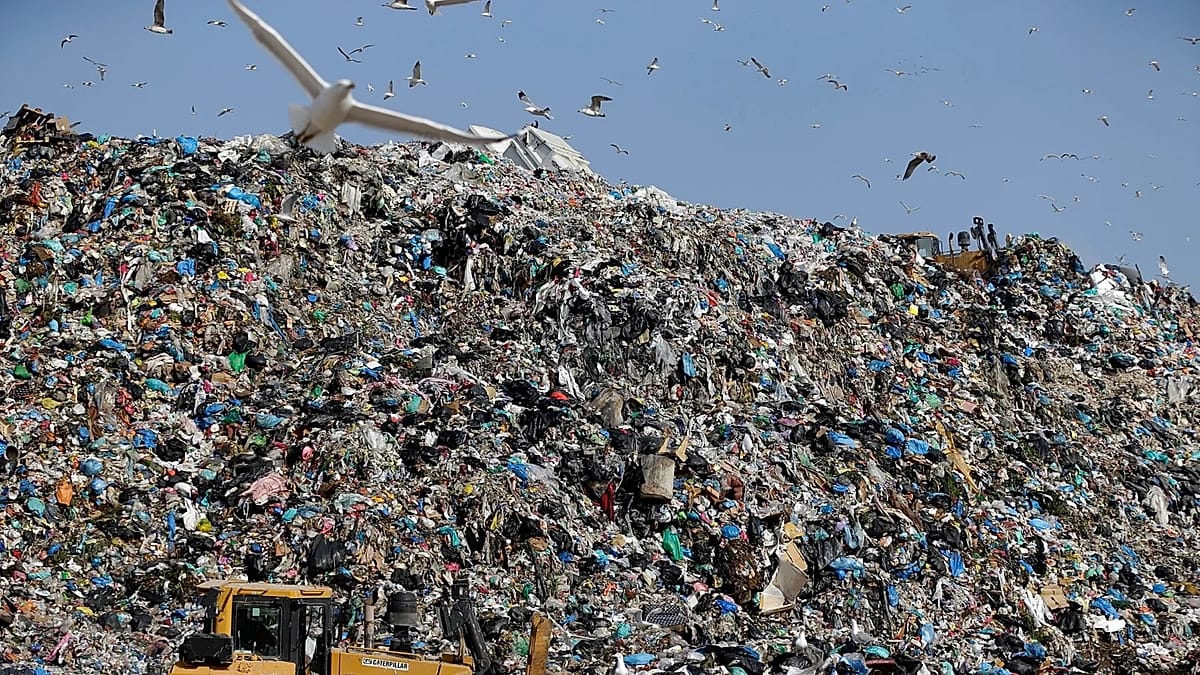 EU countries falling behind on municipal waste recycling, auditors say